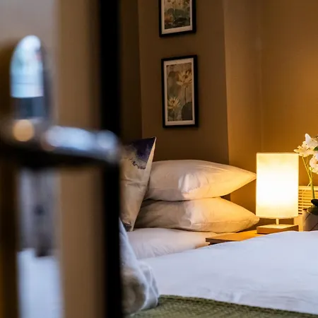 Apartment Orient City Loft With Free Parking, Balcony, And Netflix
